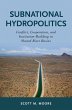 Subnational Hydropolitics (eBook, PDF) - Bild 1