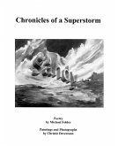 SANDY: Chronicles of a Superstorm (eBook, ePUB)