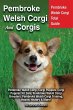 Pembroke Welsh Corgi And Corgis - Bild 1