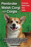Pembroke Welsh Corgi And Corgis