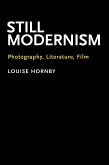 Still Modernism (eBook, PDF)
