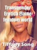 Transgender Erotica Elaine femdom world (eBook, ePUB)