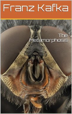 Cover Metamorphosis (eBook, ePUB)