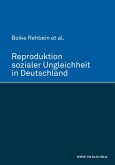 Reproduktion sozialer Ungleichheit in Deutschland (eBook, PDF)