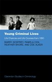 Young Criminal Lives: Life Courses and Life Chances from 1850 (eBook, PDF)