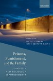 Prisons, Punishment, and the Family (eBook, PDF)