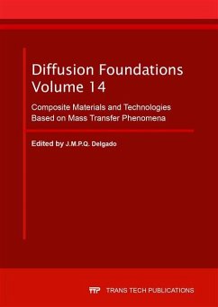 Cover Diffusion Foundations Vol. 14 (eBook, PDF)