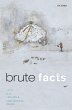 Brute Facts (eBook, PDF) - Bild 1