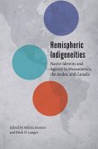 Hemispheric Indigeneities (eBook, ePUB)
