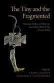 The Tiny and the Fragmented (eBook, PDF)