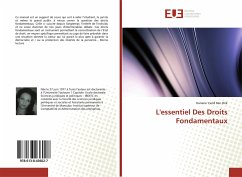 L'essentiel Des Droits Fondamentaux - Yazid Ben Brik, Hanene