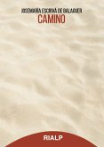 Camino (eBook, ePUB)