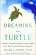 Dreaming in Turtle (eBook, ePUB) - Bild 1