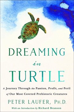 Dreaming in Turtle (eBook, ePUB) - Laufer, Peter