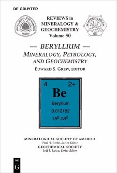 Cover Beryllium (eBook, PDF)