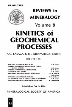 Cover Kinetics of Geochemical Processes (eBook, PDF)
