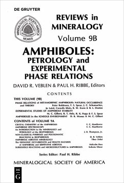 Cover Amphiboles (eBook, PDF)