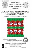 Micro- and Mesoporous Mineral Phases (eBook, PDF)