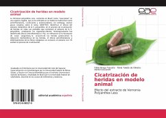 Cicatrización de heridas en modelo animal - Teixeira, Fábio Braga;de Oliveira, Tânia Toledo;Coscarelli, Daniel