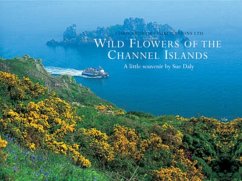 Wild Flowers of the Channel Islands Little Souvenir - Andrews, Chris; Daly, Sue