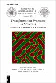 Transformation Processes in Minerals (eBook, PDF)