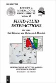 Fluid-Fluid Interactions (eBook, PDF)