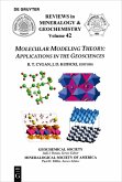 Molecular Modeling Theory (eBook, PDF)