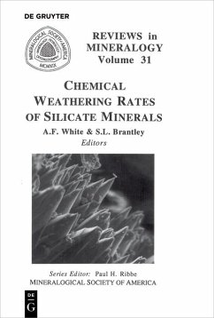 Cover Chemical Weathering Rates of Silicate Minerals (eBook, PDF)