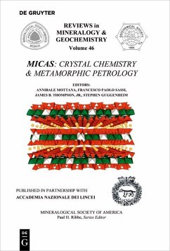 Cover Micas (eBook, PDF)