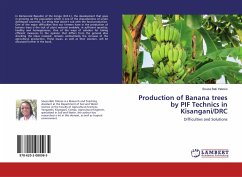 Production of Banana trees by PIF Technics in Kisangani/DRC - Yakoso, Souza Bati