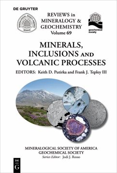 Cover Minerals, Inclusions And Volcanic Processes (eBook, PDF)