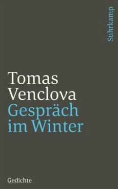 Gespräch im Winter - Venclova, Tomas