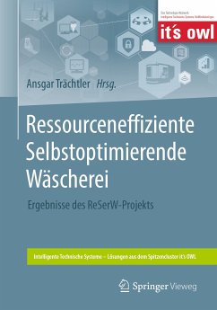 Ressourceneffiziente Selbstoptimierende Wäscherei (eBook, PDF)