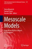 Mesoscale Models (eBook, PDF)