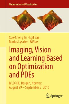 Imaging, Vision and Learning Based on Optimization and PDEs (eBook, PDF)