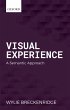 Visual Experience (eBook, PDF) - Bild 1