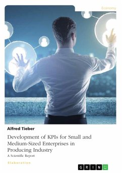 Development of KPIs for Small and Medium-Sized Enterprises in Producing Industry (eBook, PDF)