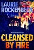 Cleansed by Fire (Grunge City Mysteries, #2) (eBook, ePUB)