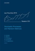 Stochastic Processes and Random Matrices (eBook, PDF)