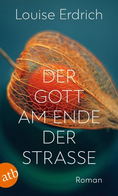 Der Gott am Ende der Straße (eBook, ePUB) - Erdrich, Louise