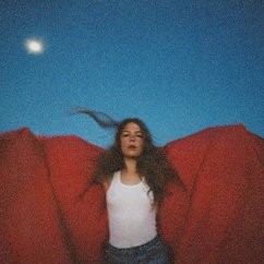 Cover Heard It In A Past Life (Vinyl)