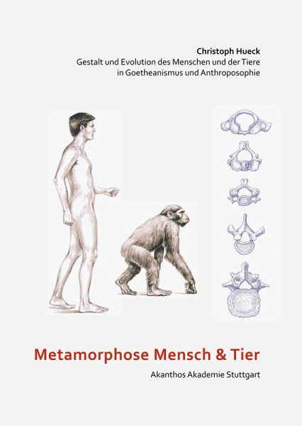 Metamorphose Mensch und Tier (eBook, ePUB)