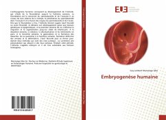 Embryogenèse humaine - Monzango Sibo, Guy Lambert