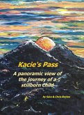 Kacie's Pass: Our Panoramic View of the Journey through Stillbirth (eBook, ePUB)
