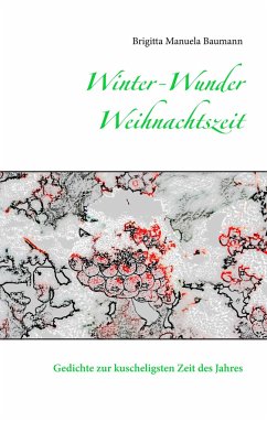 Winter-Wunder-Weihnachtszeit - Baumann, Brigitta Manuela