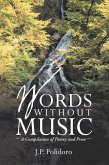 Words Without Music (eBook, ePUB)