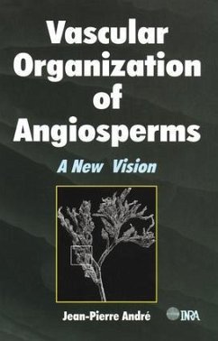 Vascular Organization of Angiosperms - Andre, Jean-Pierre