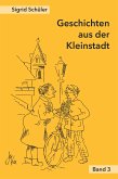 Geschichten aus der Kleinstadt, Band 3 (eBook, ePUB)