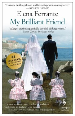 Cover My Brilliant Friend (eBook, ePUB)