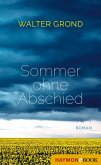 Sommer ohne Abschied (eBook, ePUB)